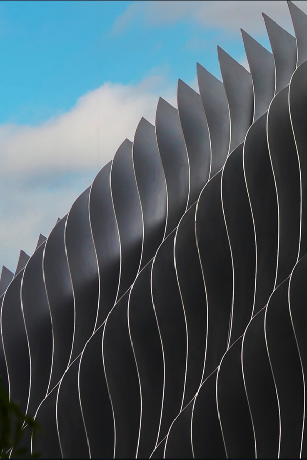 Parametric Fins